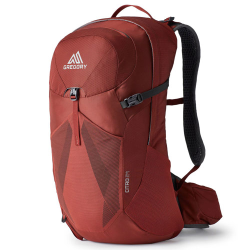Gregory Citro 24 Backpack for Men